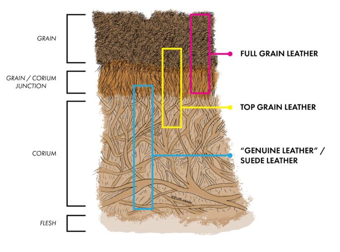 Genuine Leather cross section